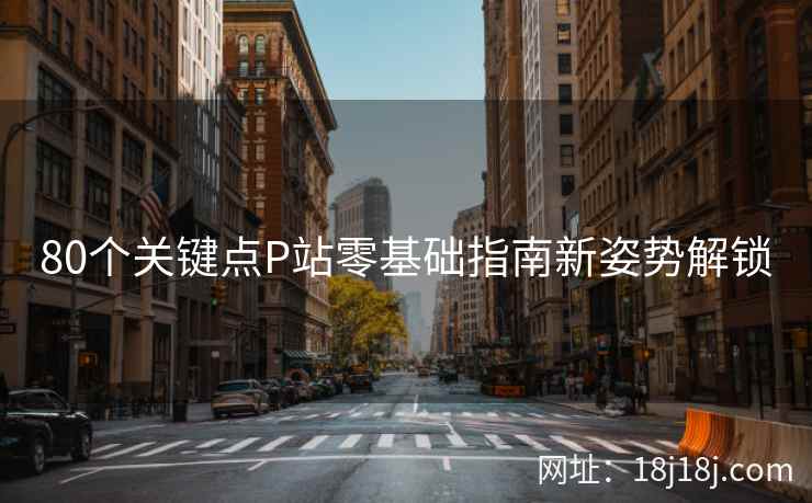 80个关键点P站零基础指南新姿势解锁