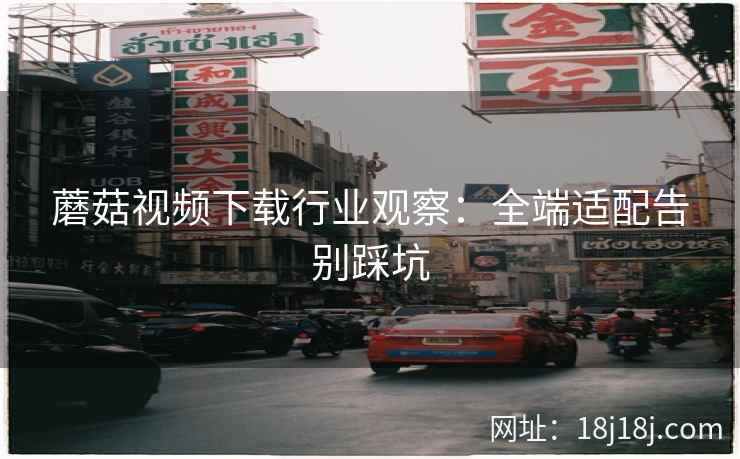 蘑菇视频下载行业观察：全端适配告别踩坑