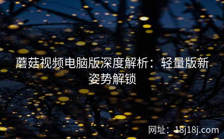 蘑菇视频电脑版深度解析：轻量版新姿势解锁