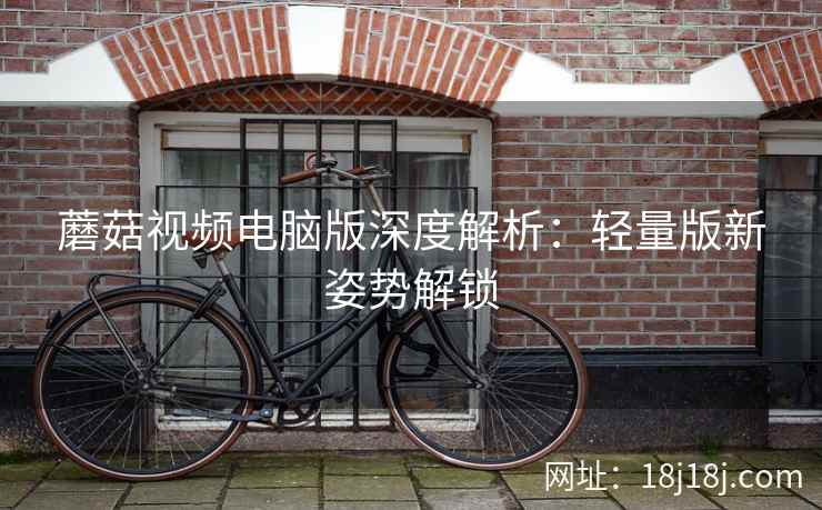 蘑菇视频电脑版深度解析：轻量版新姿势解锁