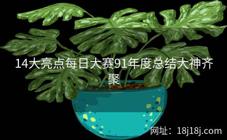 14大亮点每日大赛91年度总结大神齐聚