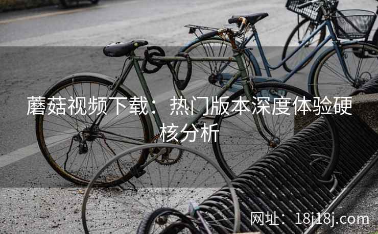 蘑菇视频下载：热门版本深度体验硬核分析
