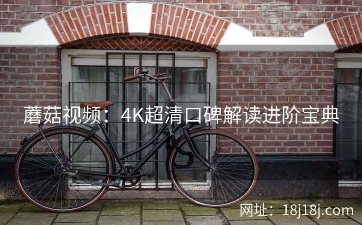蘑菇视频：4K超清口碑解读进阶宝典