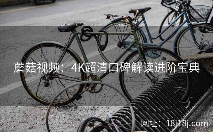 蘑菇视频：4K超清口碑解读进阶宝典