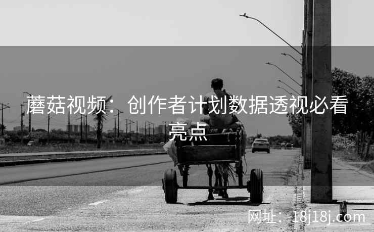 蘑菇视频：创作者计划数据透视必看亮点