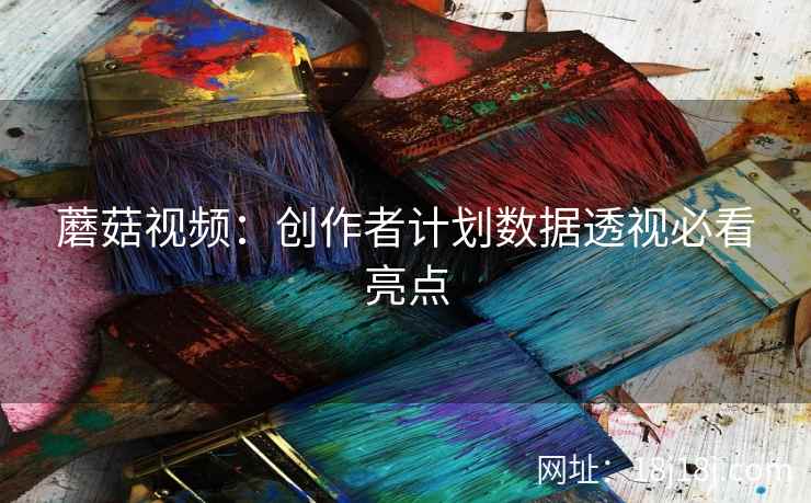 蘑菇视频：创作者计划数据透视必看亮点
