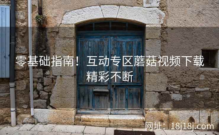 零基础指南！互动专区蘑菇视频下载精彩不断